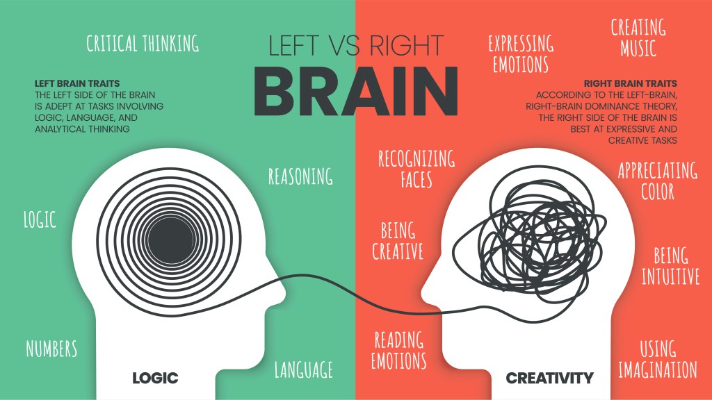 Image representing Left Brain vs. Right Brain Dominance infographic template. How the human brain works theory. Creative people right-brained and analytical thinkers left-brained concept. Visual slide presentation vector
